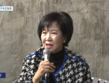 손혜원 “동생, 지지자들에 돈 빌려달라 해”