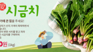 부산우정청, 위기농가 돕기 '남해 시금치' 온라인 판매