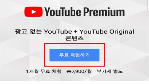 “유튜브 프리미엄 유료 전환 과정 논란”…방통위 조사 착수