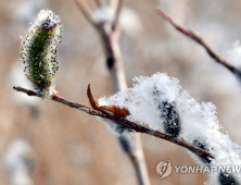 [오늘 날씨] 전국 곳곳 눈 또는 비…서울 최저 -3도