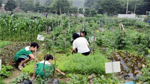 “완주에서 텃밭 가꿔보세요”