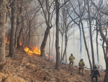 건조한 날씨에 올 겨울철 산불 2.3배 증가