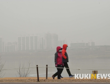 미세먼지에 뿔난 피부...화장할까요 말까요?