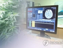 의료용 대마 수입 신청 개시…“약 지급기간 한 달 내외”