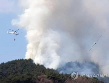 강원 속초 야산서 불… 산림 0.2ha 태우고 진화