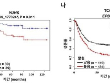 국내 연구진, 전이성 위암 발병의 핵심인자 발견