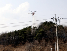 안동서 산불 발생, 2시간여만 진화…주민 1명 화상