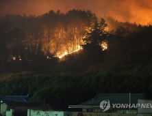 포항 산불, 강풍타고 '활활'…인명피해는 없어