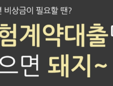 보험사 대출 223.5조 전년比 7.6% 증가