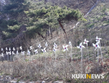 “군산 조초동엔 태극기 바람개비 힘차게 날려요”