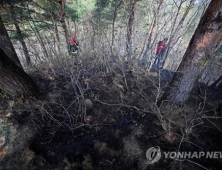 식목일에 강원도 휩쓴 대형 산불…부산·경북·충남서도 화재로 산림 소실