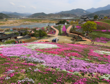 [여기어때]진분홍 꽃잔디 같이 걸을까요? 산청 생초국제조각공원 꽃잔디 축제