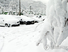 강원도·경북 폭설 피해 잇따라…적설량 20cm 넘는 곳도