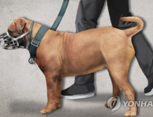 '산책하던 60대 사망' 도사견 견주 입건