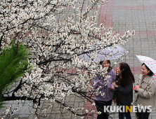 [오늘의 날씨] 대구·경북, 출근길 우산 챙기세요