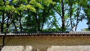 새 단장 마친 덕수궁 돌담길서 10일 국악 한마당 개최