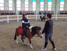 “나도 한번 타볼까?”…영천시 승마체험활동