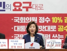 나경원, 영화 '어벤져스' 빗대 文정부 비판…