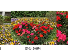 삼성전기, 초슬림 광학5배줌 카메라모듈 양산