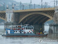 정부, 헝가리 유람선 사고 현장에 검사 2명 급파