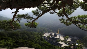 속리산서 50대 스님 숨진 채 발견