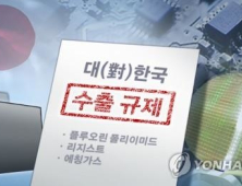 일본 경제보복에 한국서도 반일감정 ‘활활’…“日 관광·제품 불매하자”