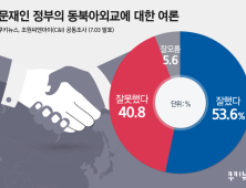 文 정부 동북아외교 잘함 53.6% 못함 40.8%…미국·북한과 친해져야