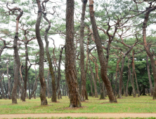 경주 황성공원 새단장 마쳐