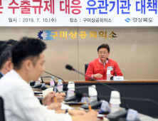 경북도, 일본 수출규제 대응 긴급대책 회의...피해 최소화·지원방안 강구