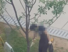 고양이 패대기쳐 잔혹 살해…경찰 수사 나서