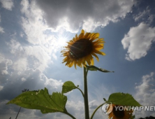 [오늘 날씨] 일요일 전국 맑아…서울 낮 30도·대구 32도