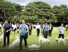 靑 “풍산개 곰이의 강아지 6마리가 전국으로 갑니다”