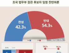 ‘조국 임명’ 반대 54.3% 찬성 42.3%…文대통령 국정지지율 46.5% [리얼미터]