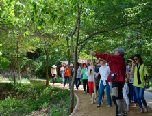 경북도, “추석연휴 숲향기 가득한 경북의 자연휴양림에서 힐링하세요!”