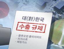 정부, 日 수출규제 WTO 제소 결정… “정치적 목적으로 교역 악용 문제”