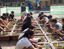 전북농협, 초등학교 40곳서 스쿨팜 가을채소 키워