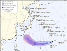 제19호 태풍 '하기비스' 발생..한반도 영향 불확실