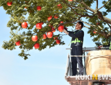 [단신] 청송군, ‘제15회 청송사과축제’ 준비 한창