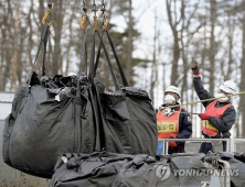 “후쿠시마 원전사고 후 방사성 세슘 식품 6529건 적발”