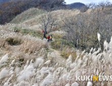 [포토뉴스]가을날의 동화, 장수 장안산 억새 ‘장관’