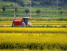 경상남도, 2019년 쌀·밭·조건불리 직불금 974억원 지급