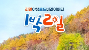 ‘1박2일’이 돌아온다