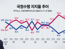 2019년 11월 3주차 국정수행평가 인포그래픽