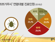 [인포그래픽] '쯔쯔가무시' 연령대별 진료인원