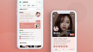 네이버 인플루언서 검색, 비공개 시범 서비스 시작