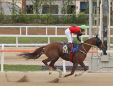 한국마사회, 8일 '제38회 그랑프리' 개최