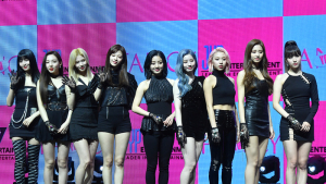 JYP “트와이스 스토커에 법적 대응” (공식입장)
