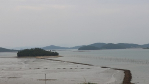 신안군, 전국 최초 ‛주민 참여형 태양광 발전사업' 화제... 대통령 언급