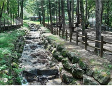 강원산림과학연구원, 춘천 숲체험장에 ‘무장애나눔길’ 조성