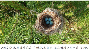 문 닫힌 궁궐‧왕릉의 동물들…직원들 직접 촬영 사진‧영상 공개